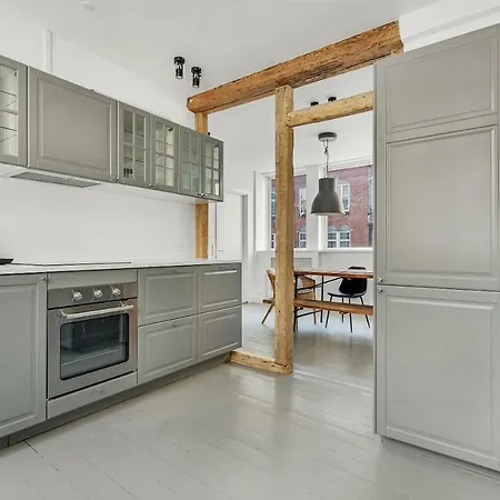 Luxury For 8 Persons In The City Center Appartement Kopenhagen